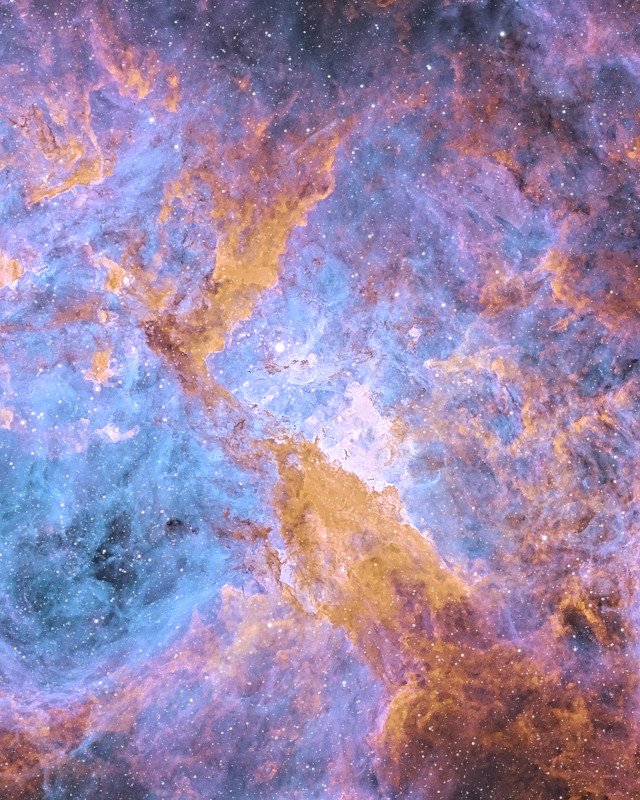 淡いラベンダーと空色のガスの中心を、金色の赤外線の塵の帯が斜めに横切る / Pale lavender and sky-blue gas at the center, crossed diagonally by a band of gold infrared dust
