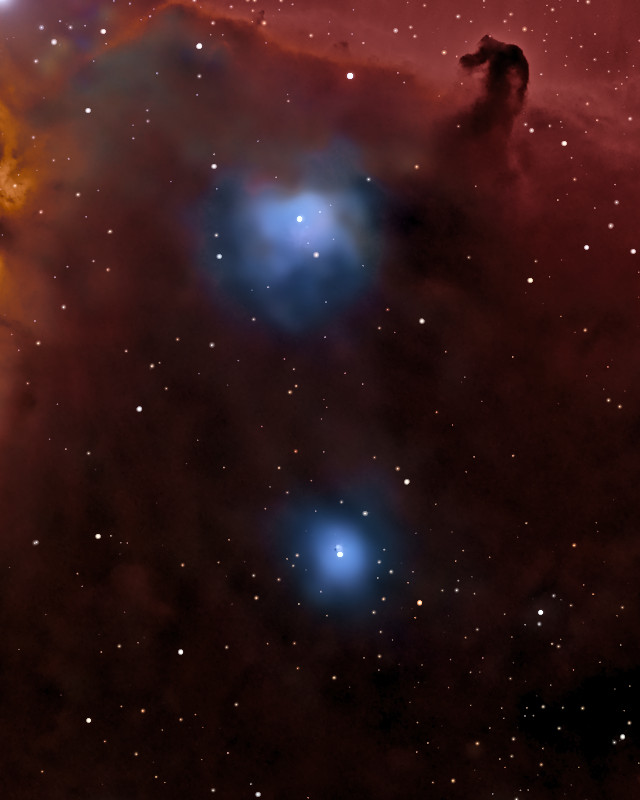 暗いちりの中に浮かぶ二つの青い反射星雲。右上に馬頭星雲 / Two blue reflection nebulae in dark dust, with the Horsehead at the top right